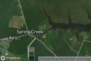 Persimmon Tree Landing Gut