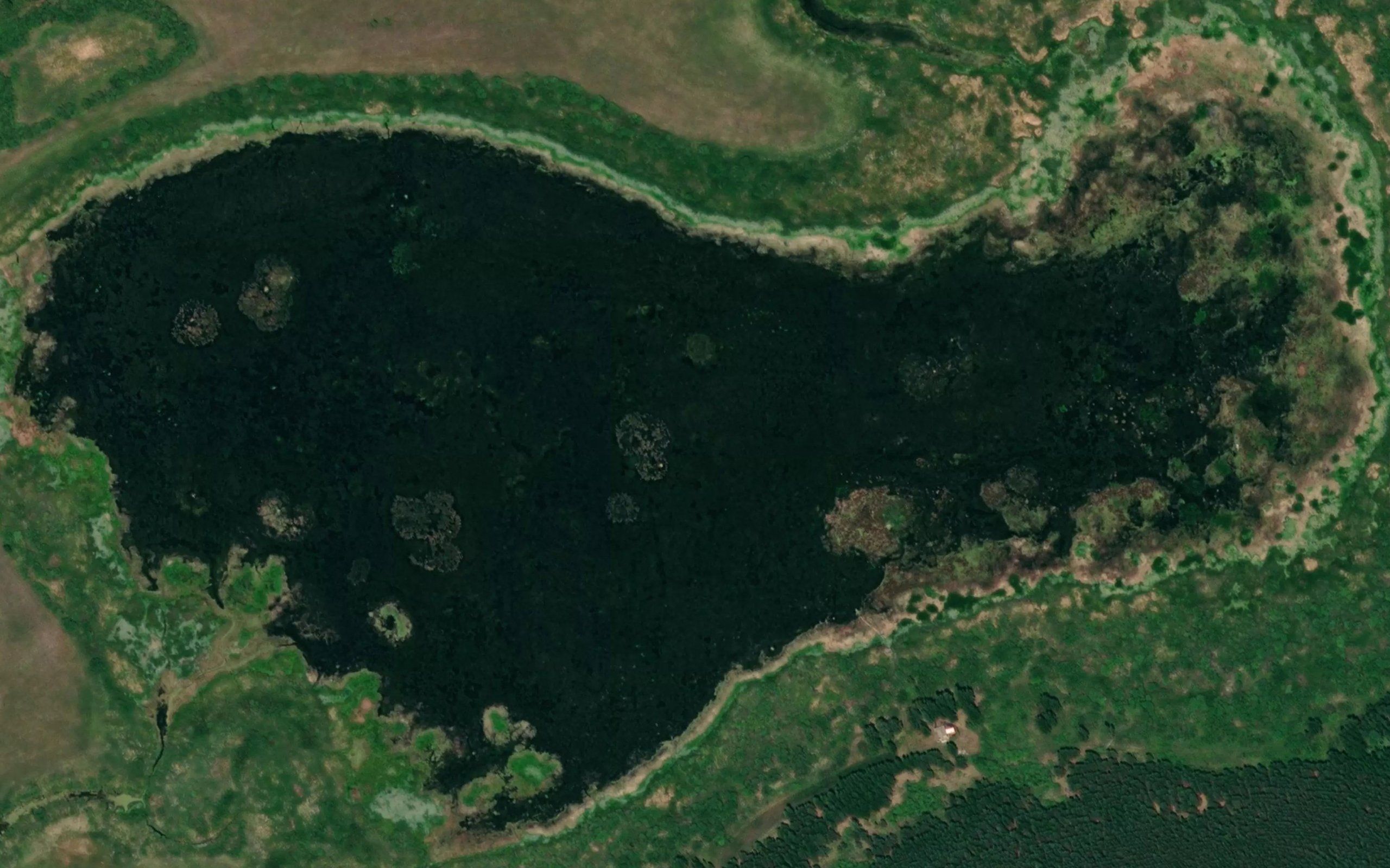 Ozero Cherepanovo