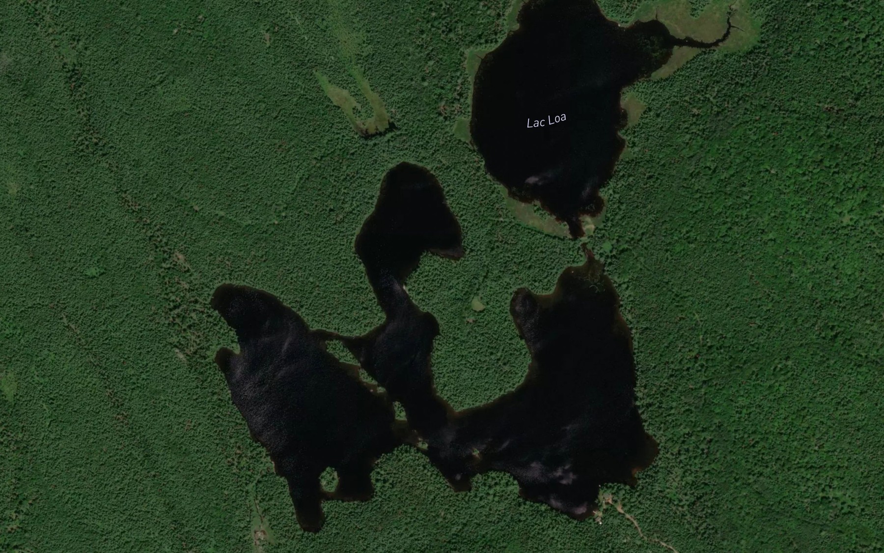 Satellite map of the Lac Loa