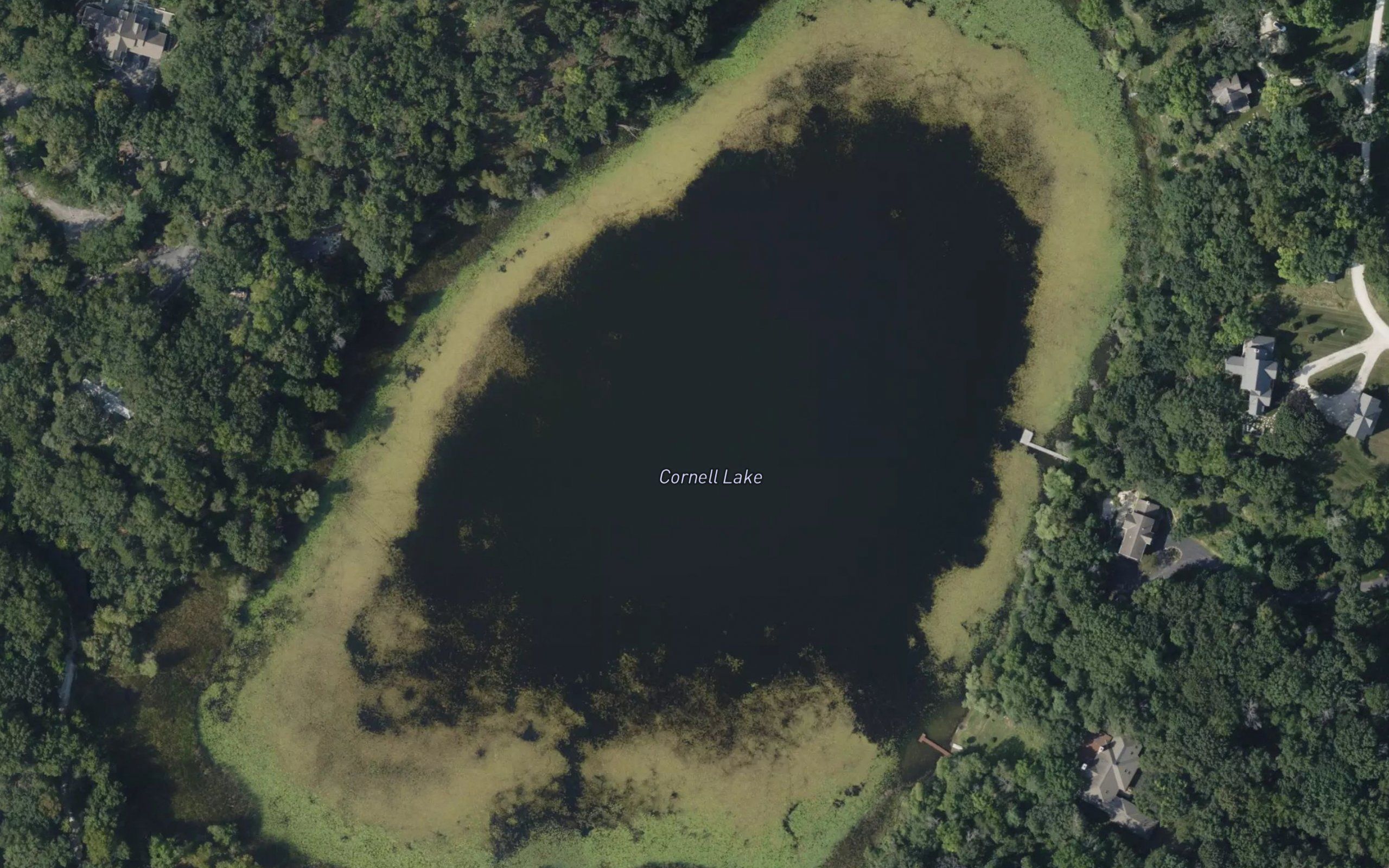 Cornell Lake