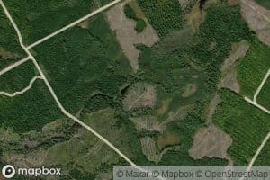 Beaver Pond