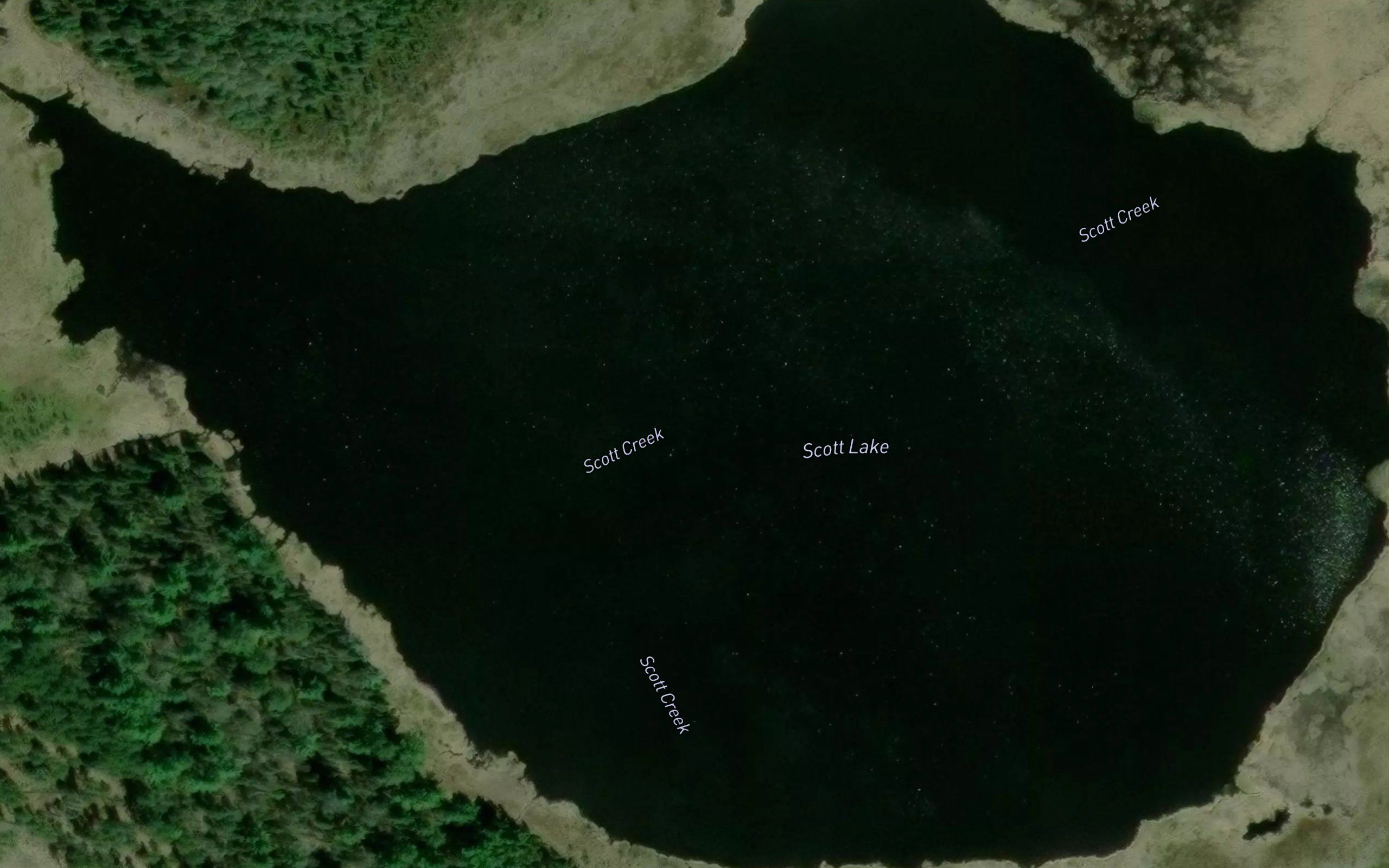 Scott Lake