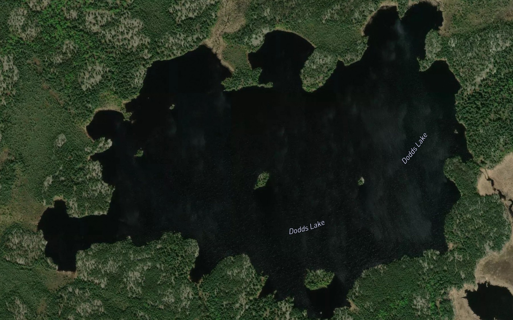 Satellite map of the Dodds Lake
