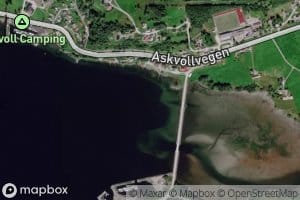 Askvika