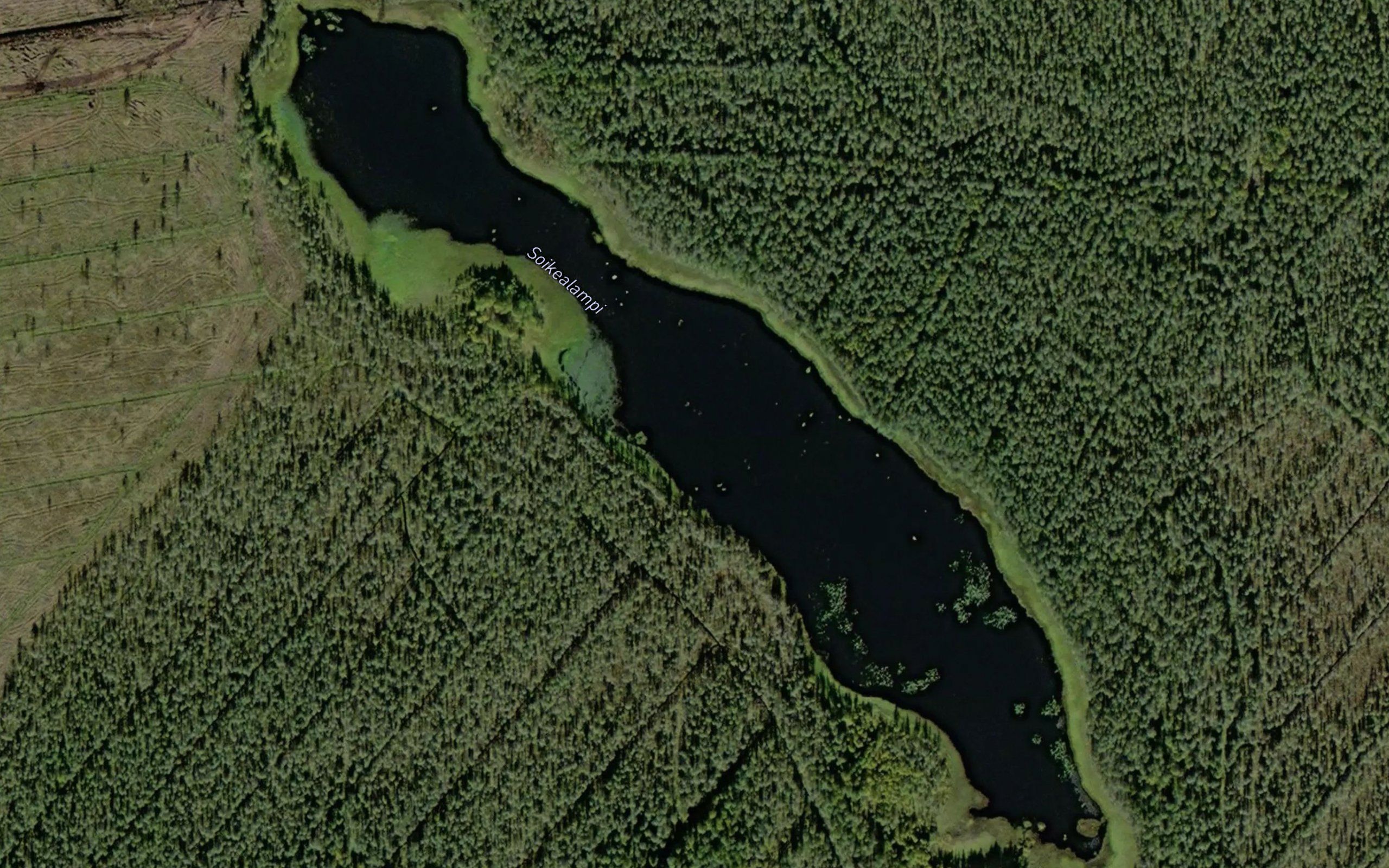 Soikealampi