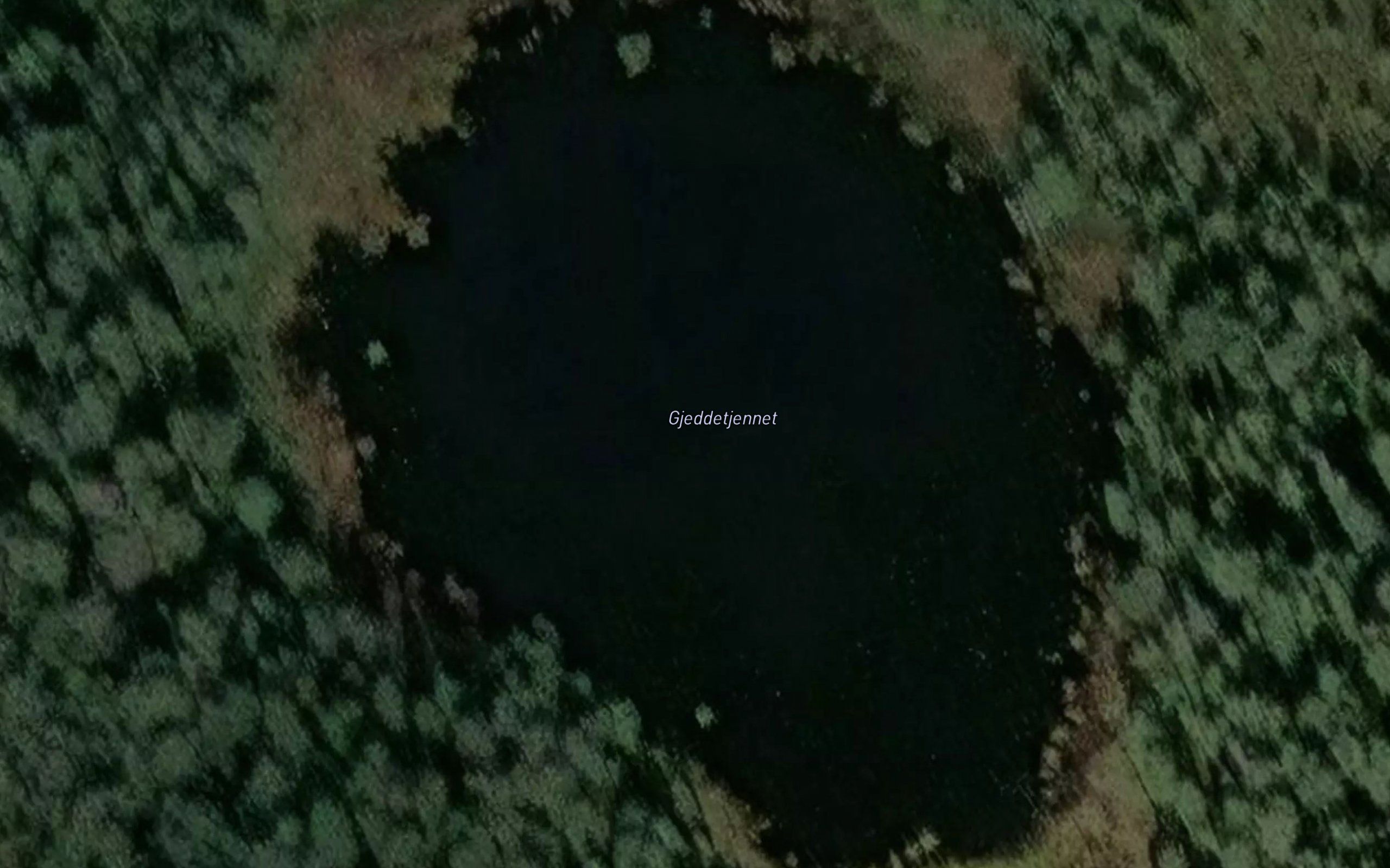 Gjeddetjernet
