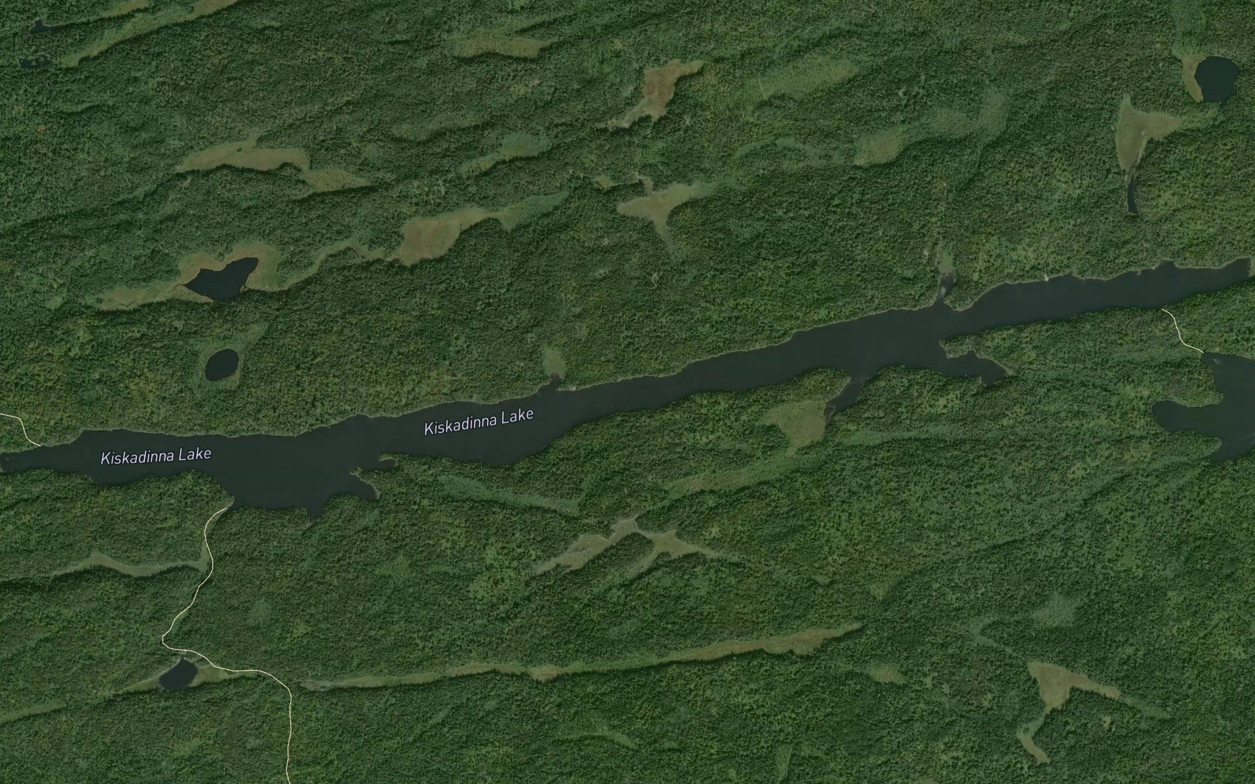 Kiskadinna Lake