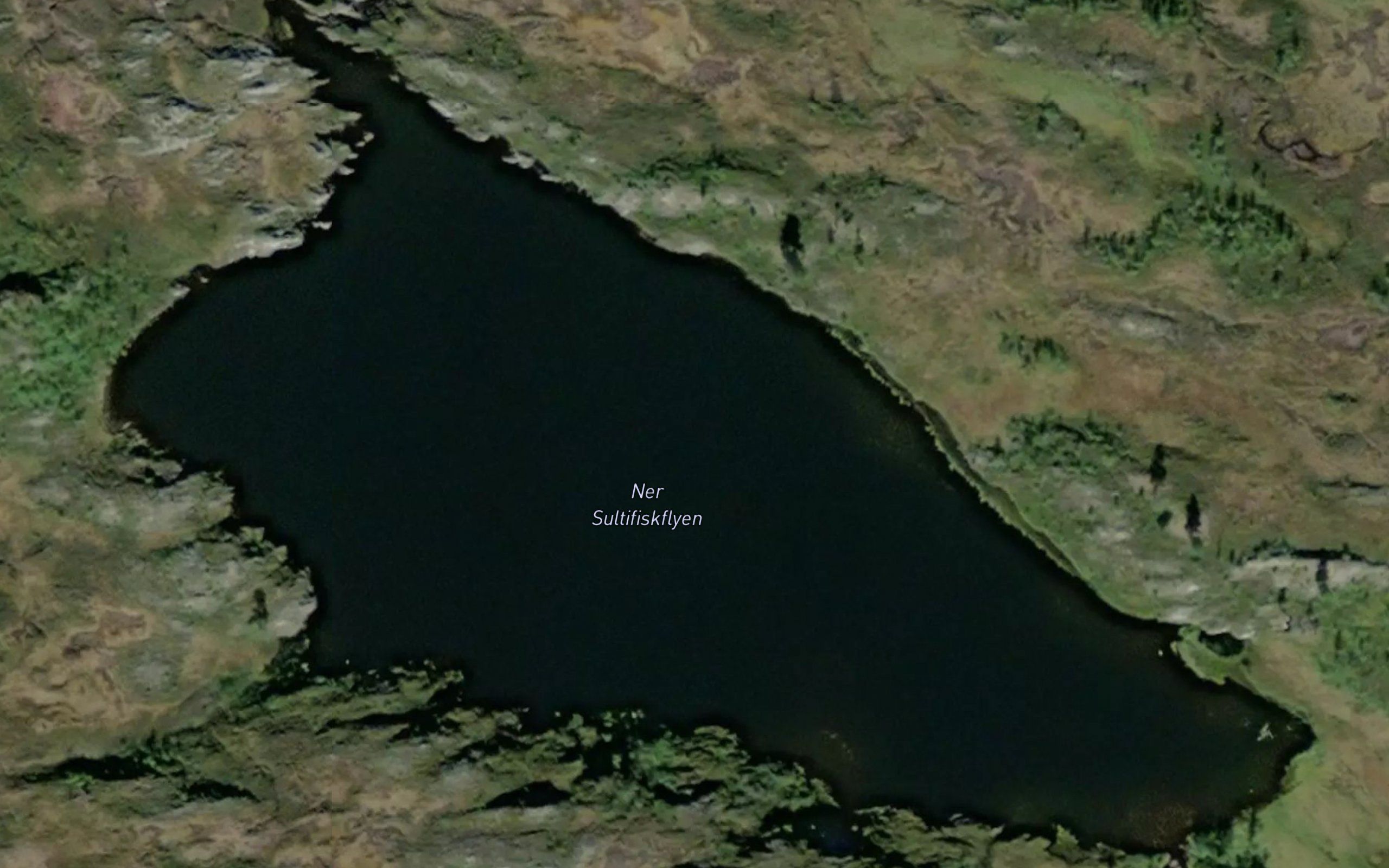 Ner Sultifiskflyen