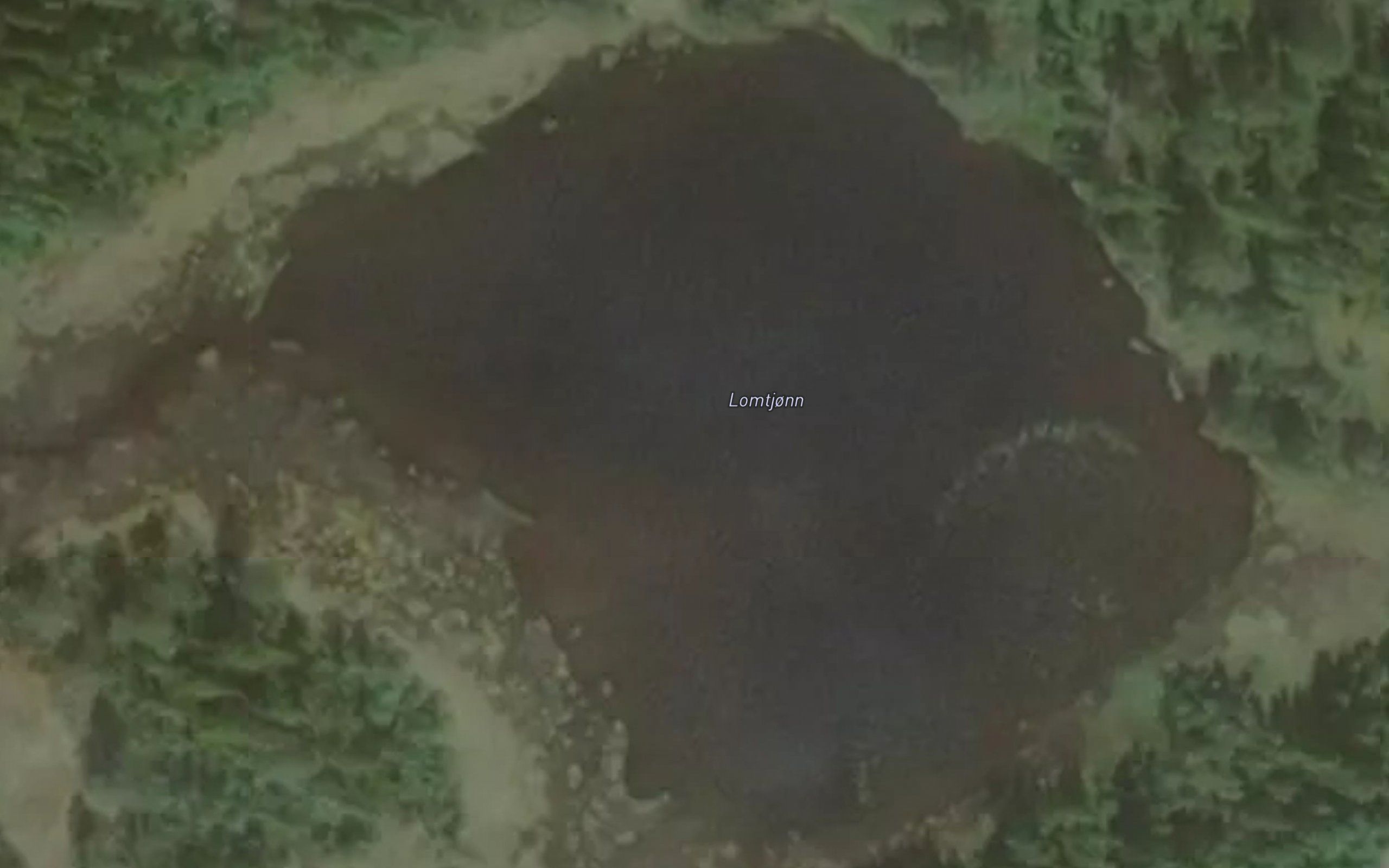 Lomtjonn