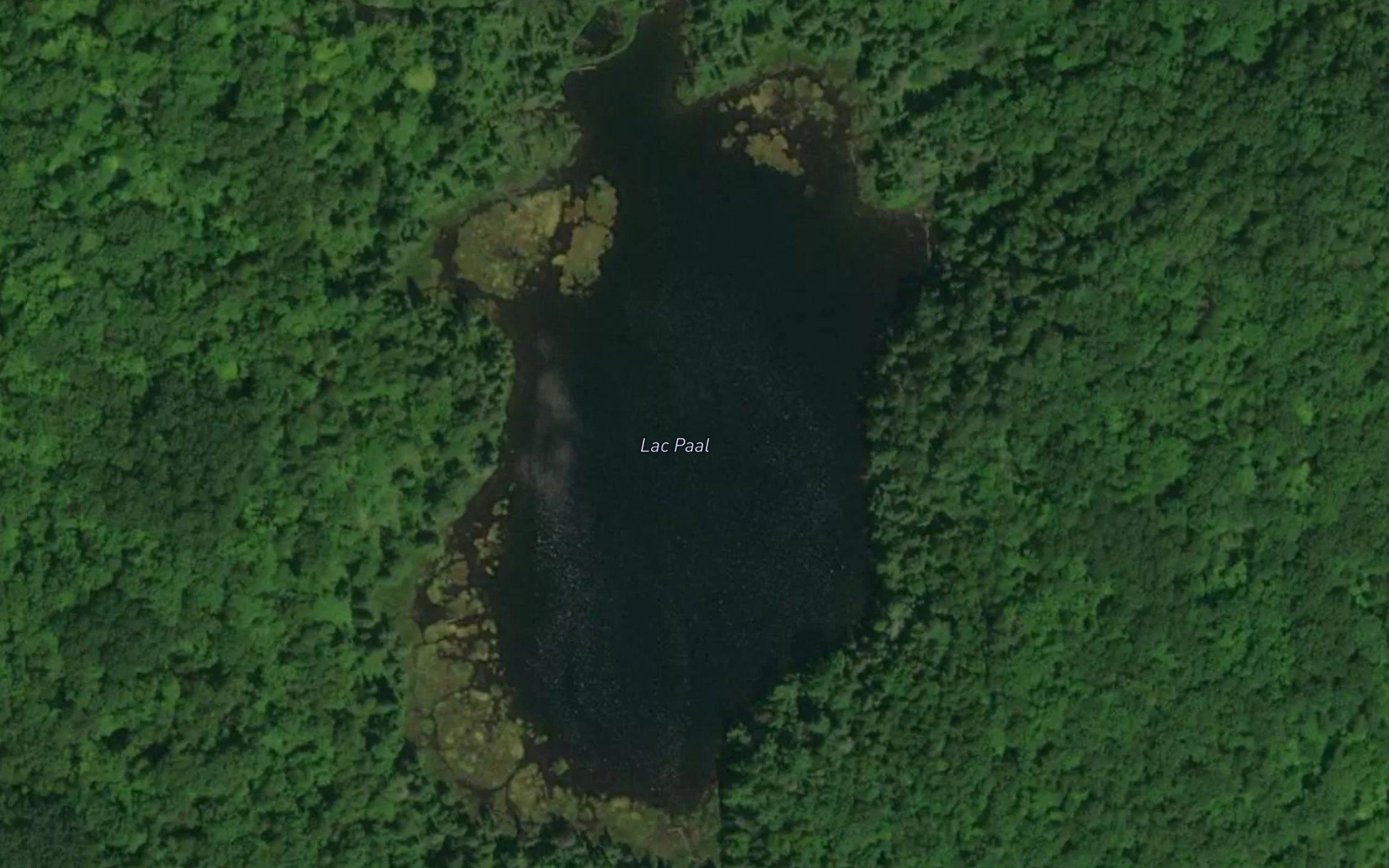 Lac Paal