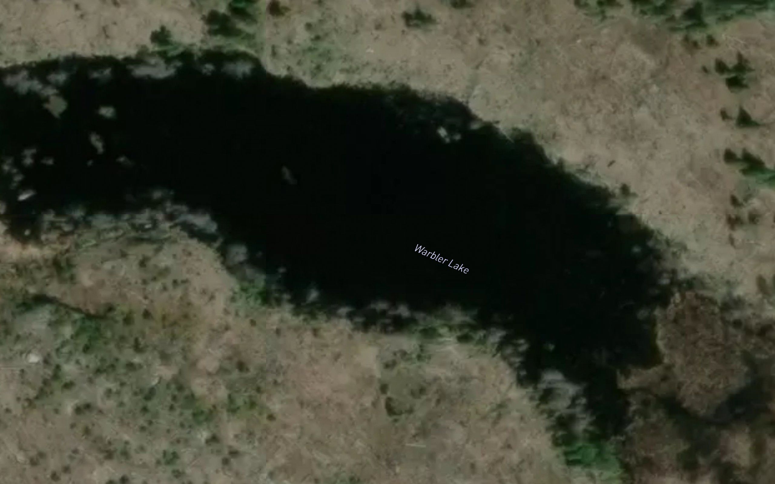 Warbler Lake