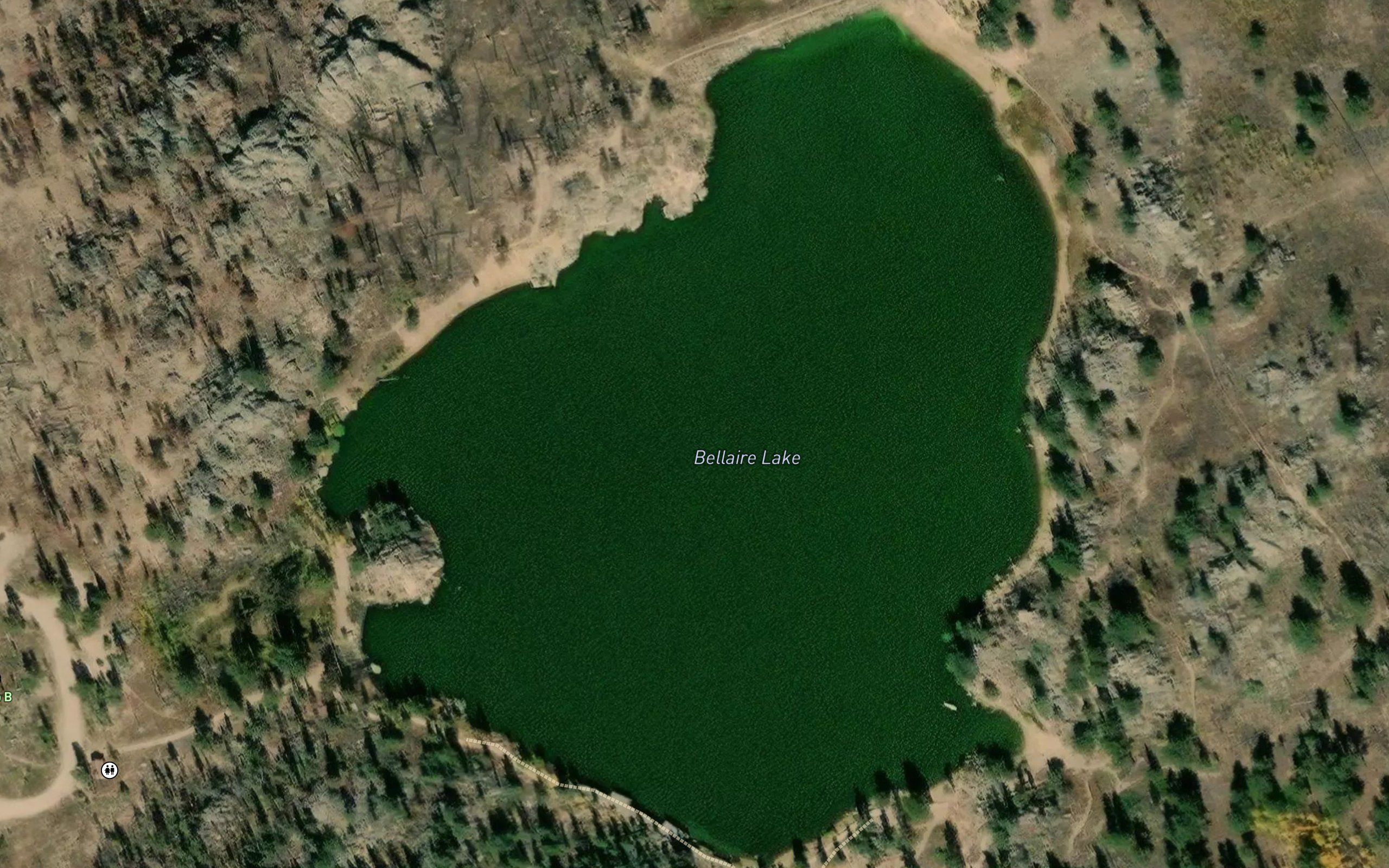 Bellaire Lake