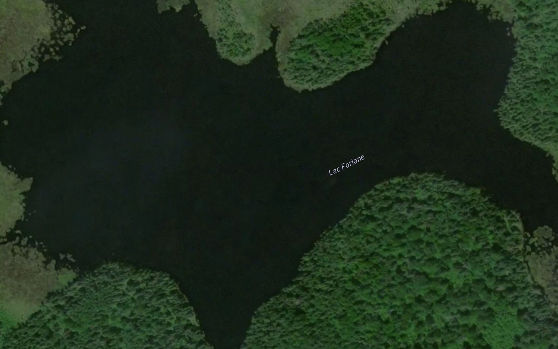 Satellite map of the Lac Forlane