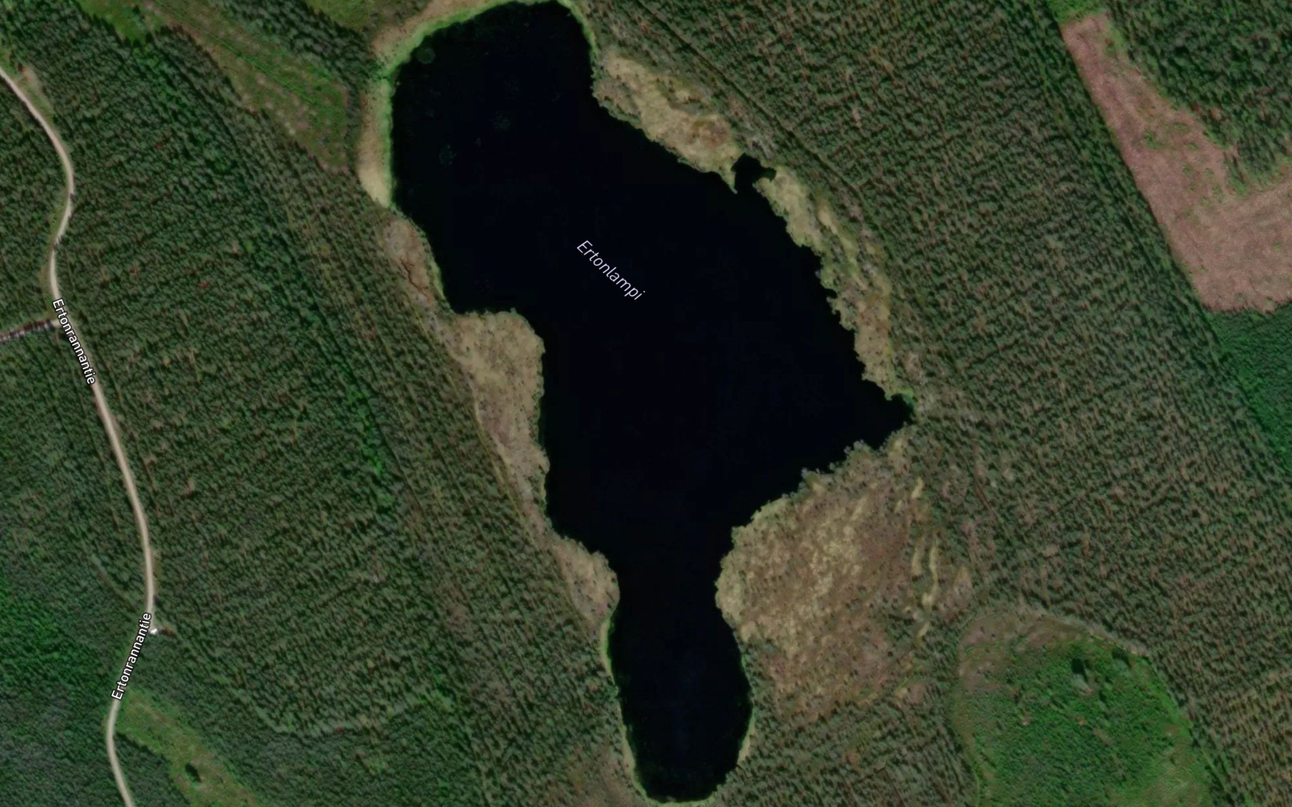 Ertonlampi