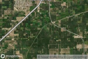 Three L Distributary