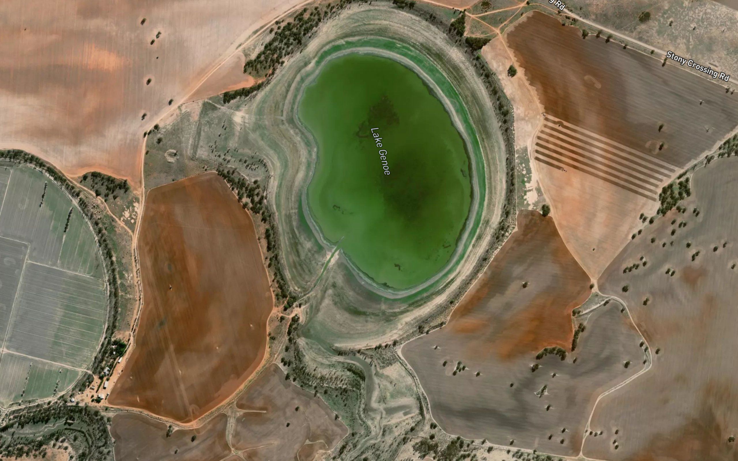 Lake Genoe