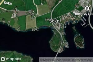 Svinavika