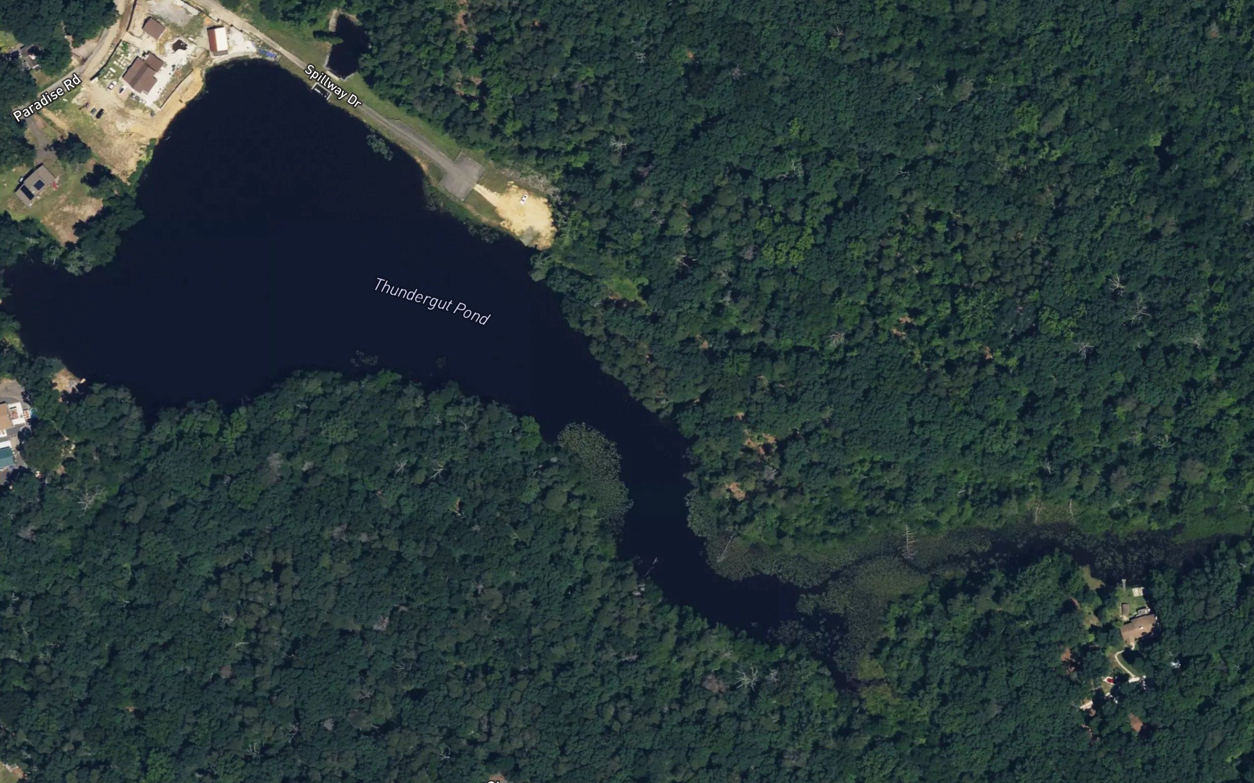 Thundergut Pond