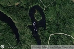 Kaleton