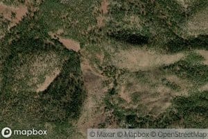 Bear Valley Cabin Spring