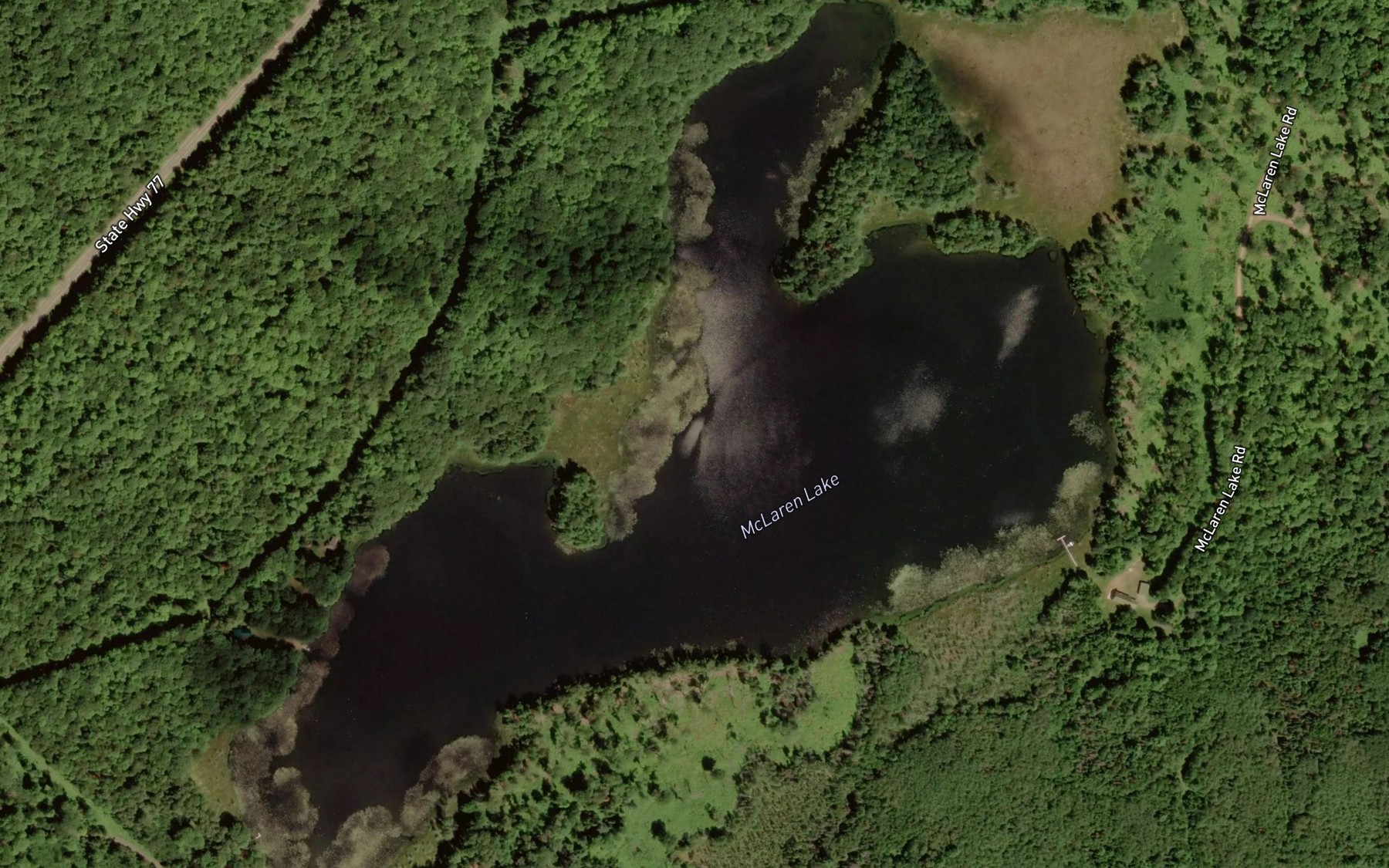 Satellite map of the McLaren Lake