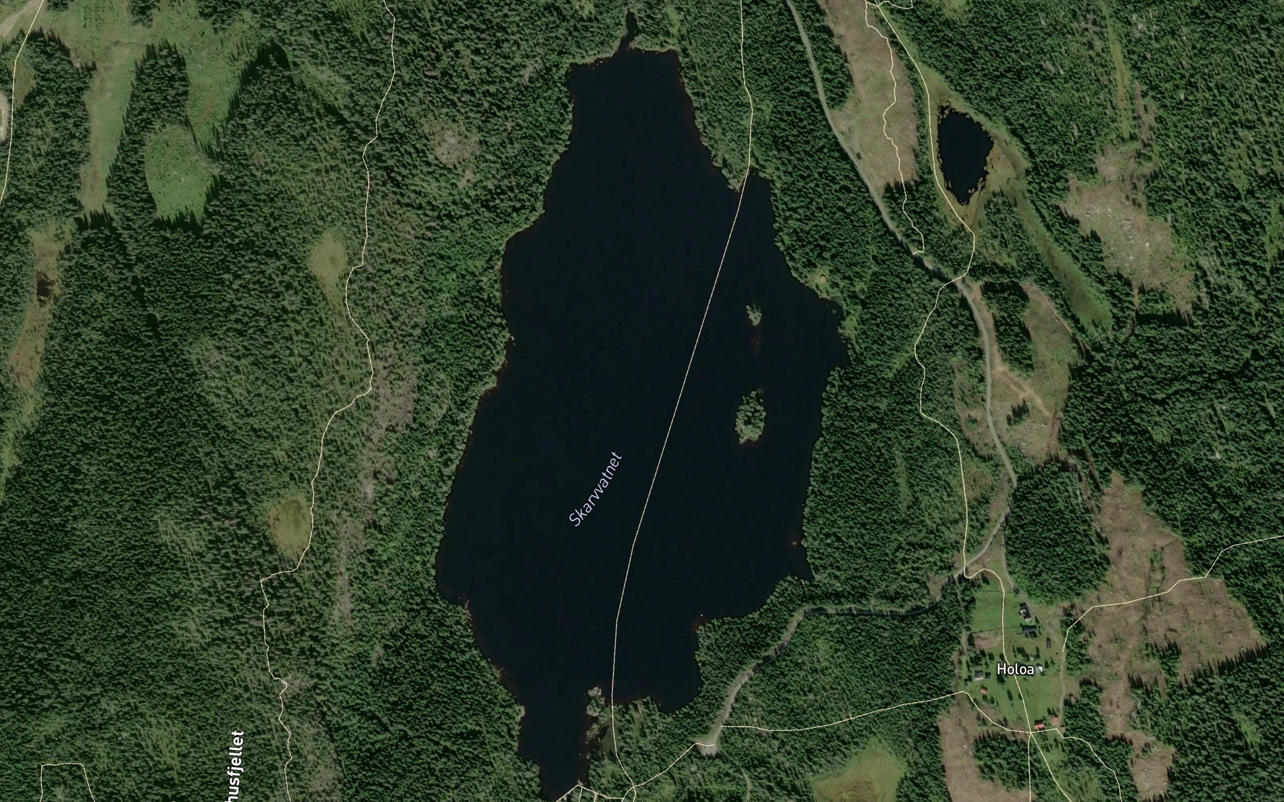 Skarvevann