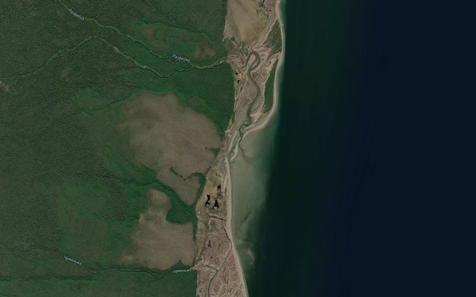 Satellite map of the Razvilka