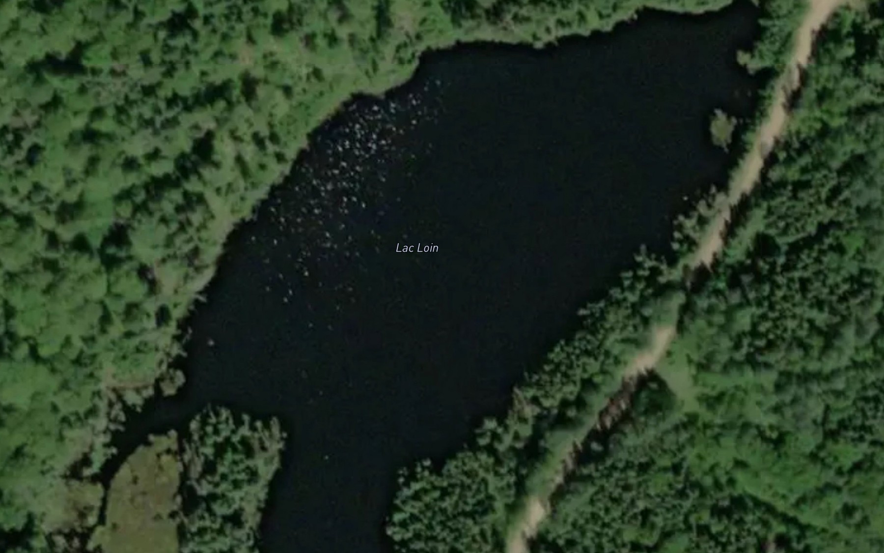 Satellite map of the Lac Loin