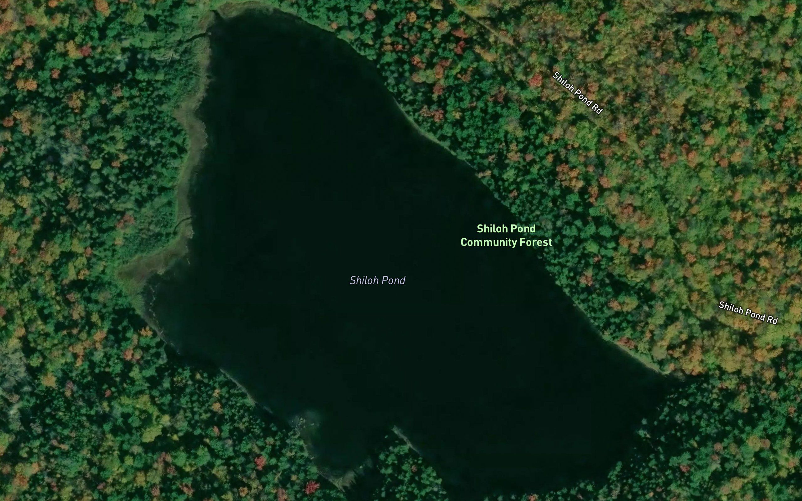 Shiloh Pond