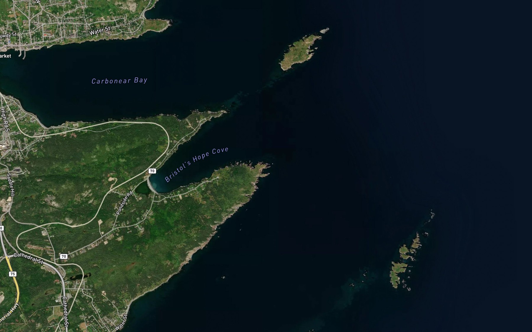 Satellite map of the Gradys Cove