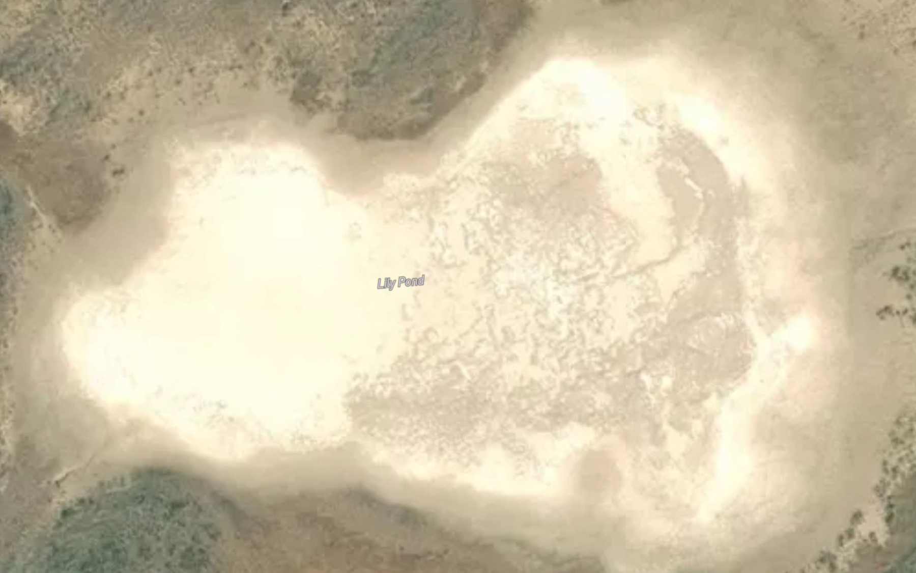 Satellite map of the Lily Pond