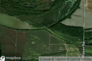 Pitcher Creek