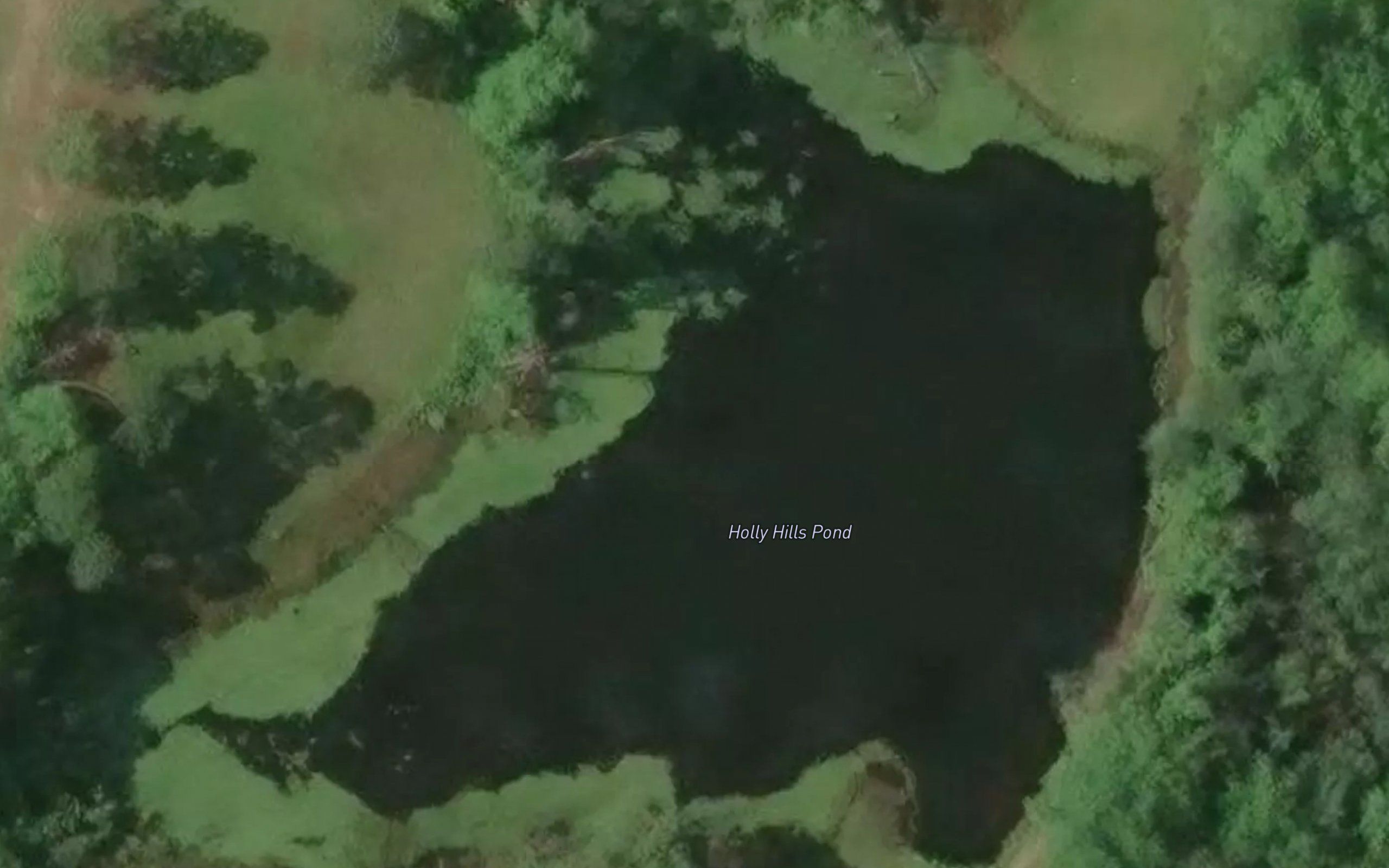Holly Hills Pond