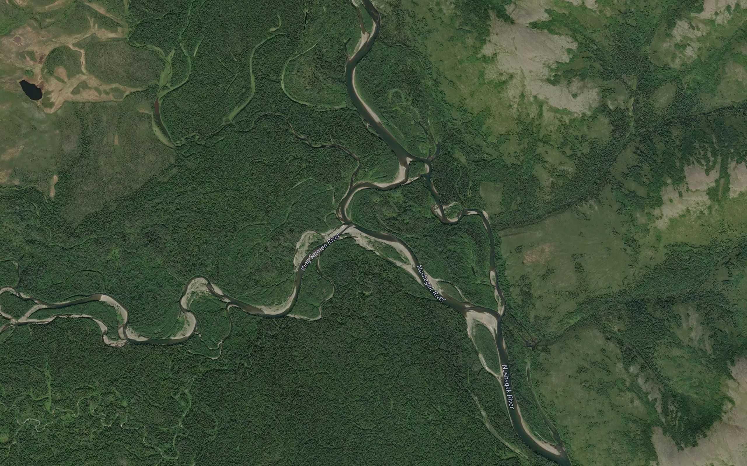King Salmon River