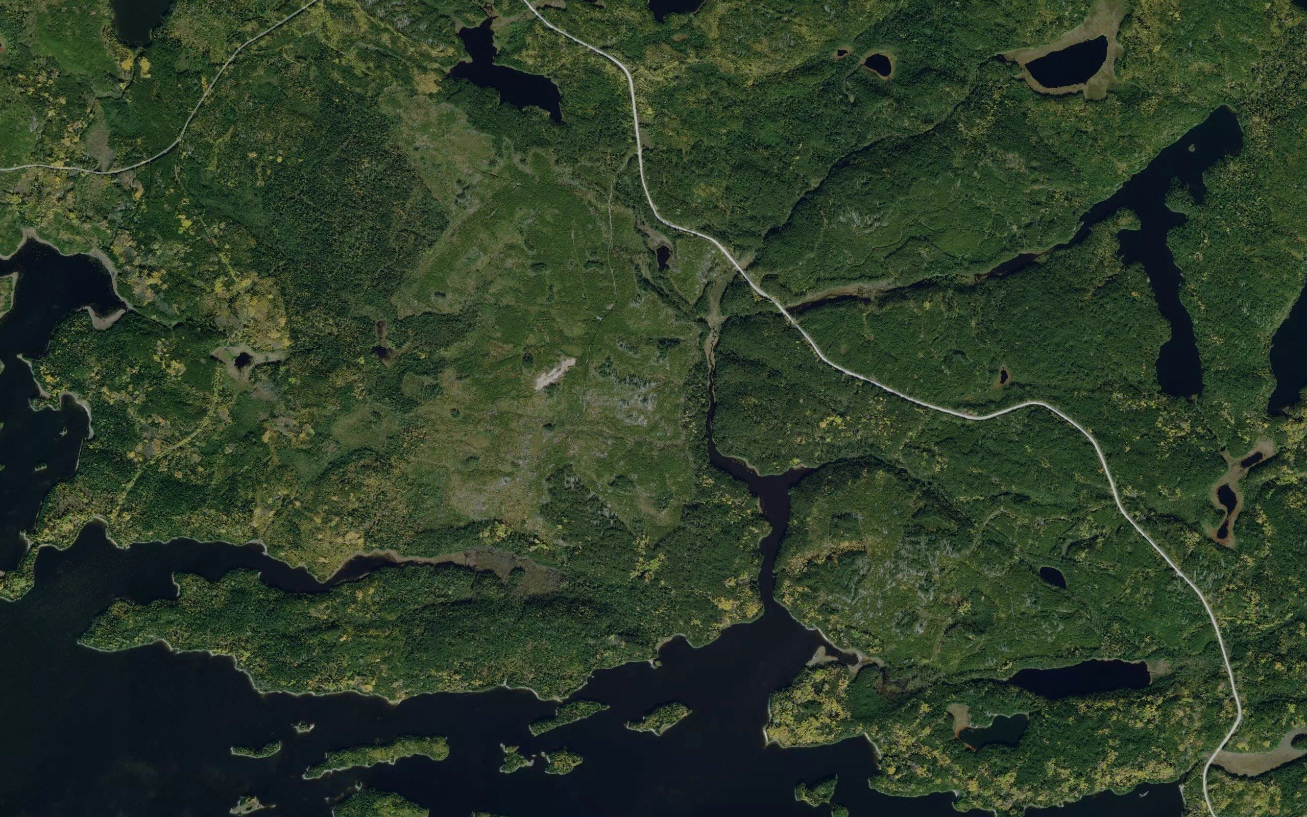 Thorsten Creek