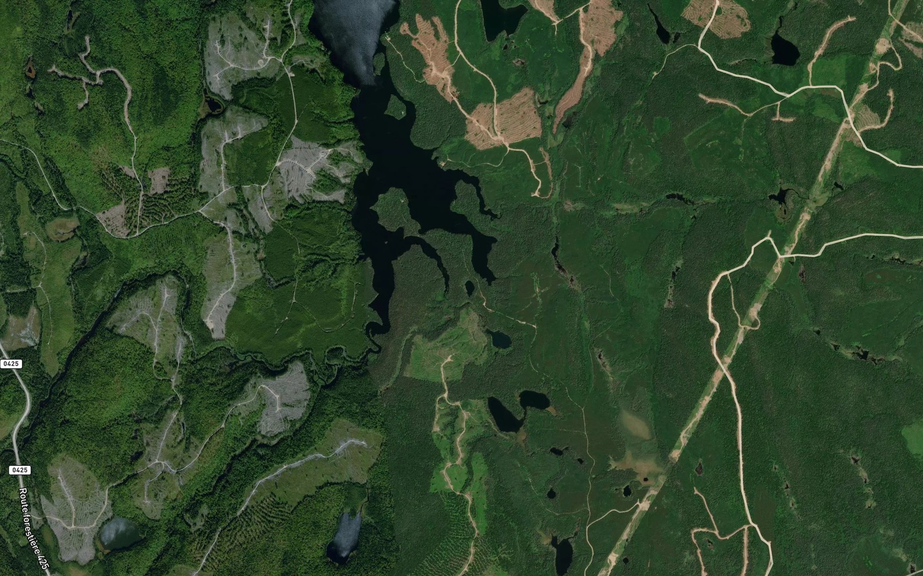 Satellite map of the Lac de la Sittelle