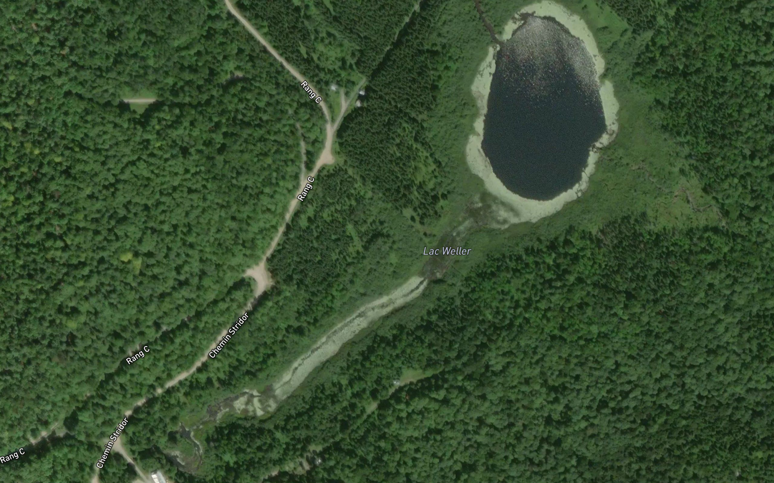 Lac Weller