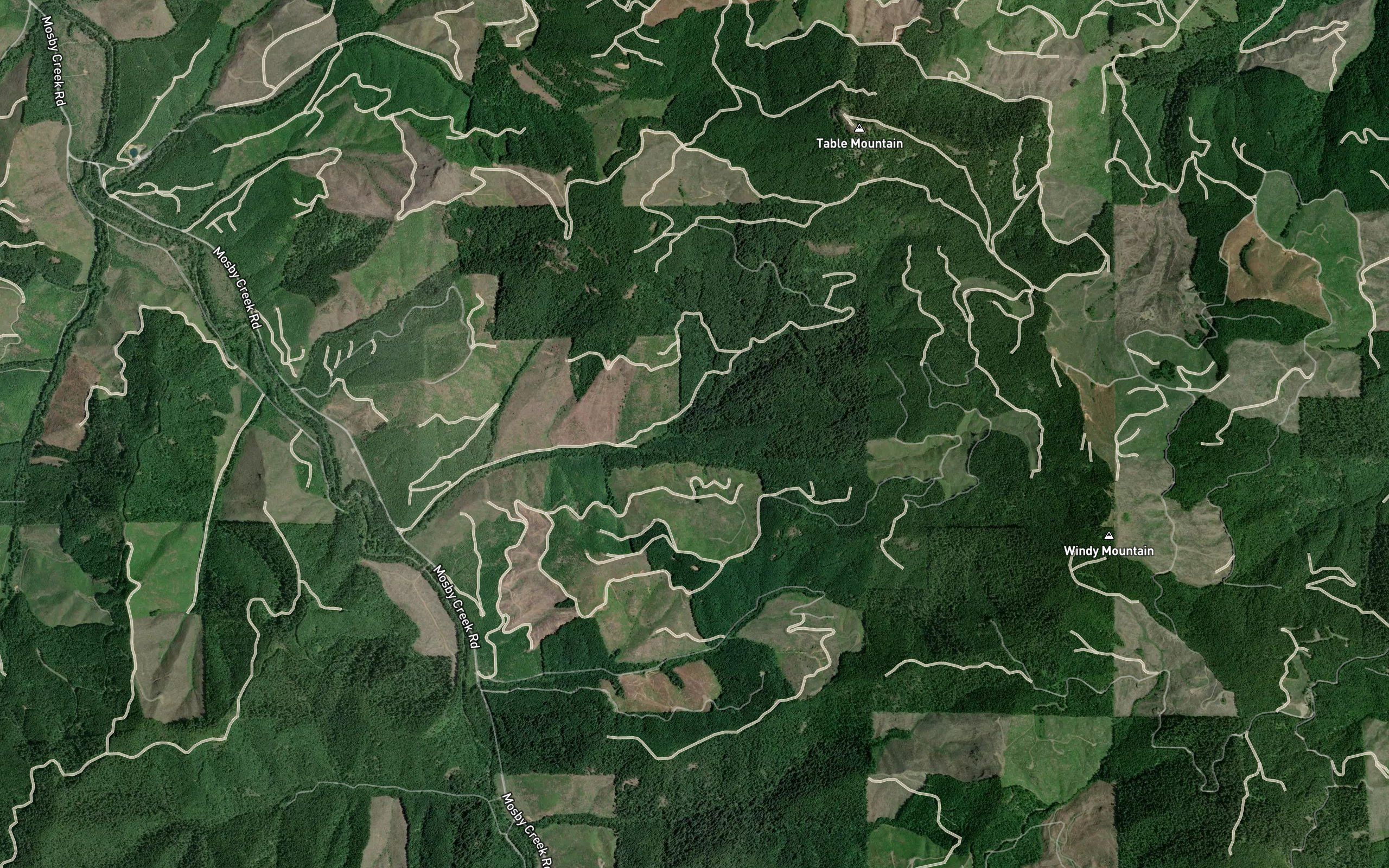 North Fork Dahl Creek