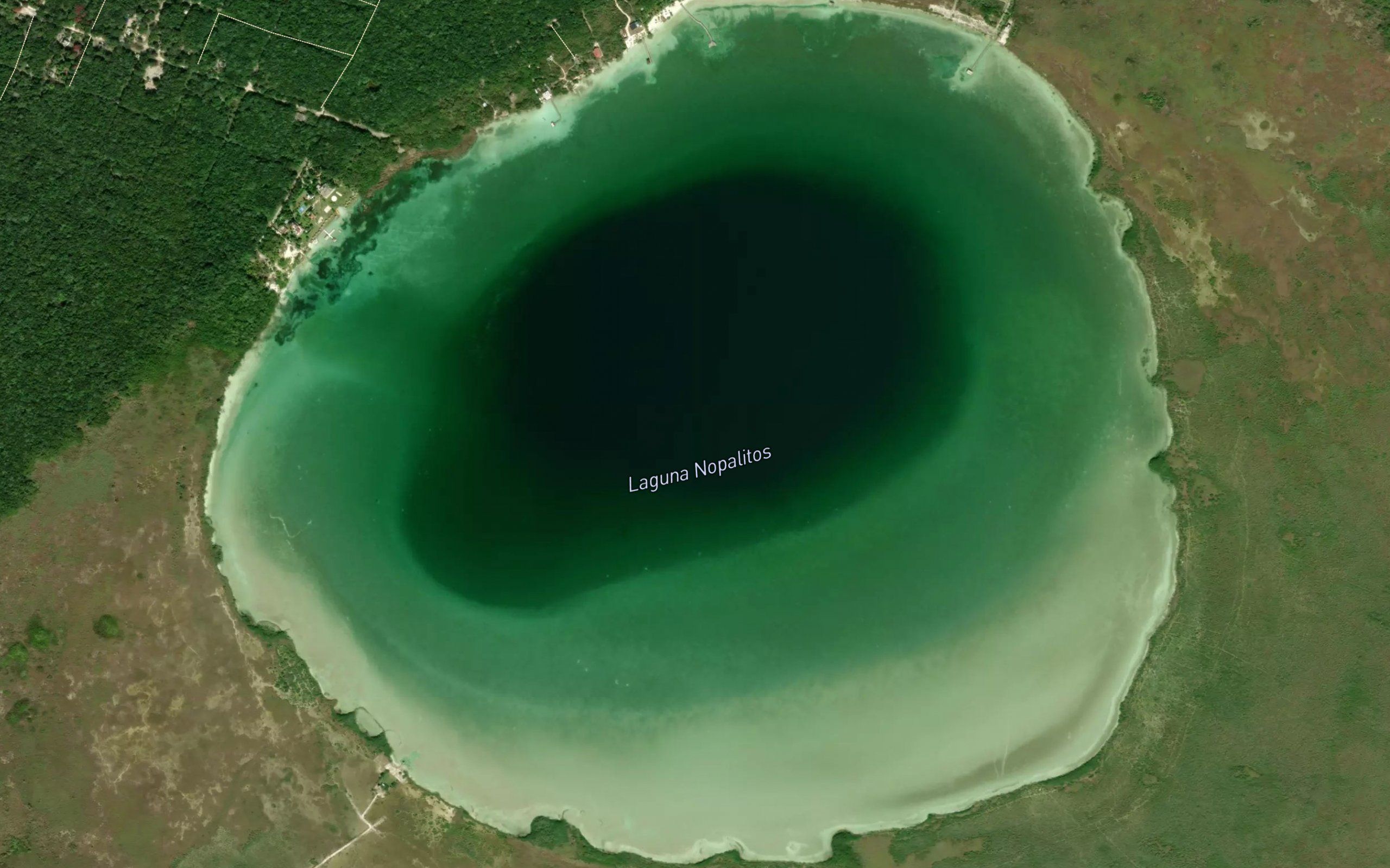 Laguna Nopalitos