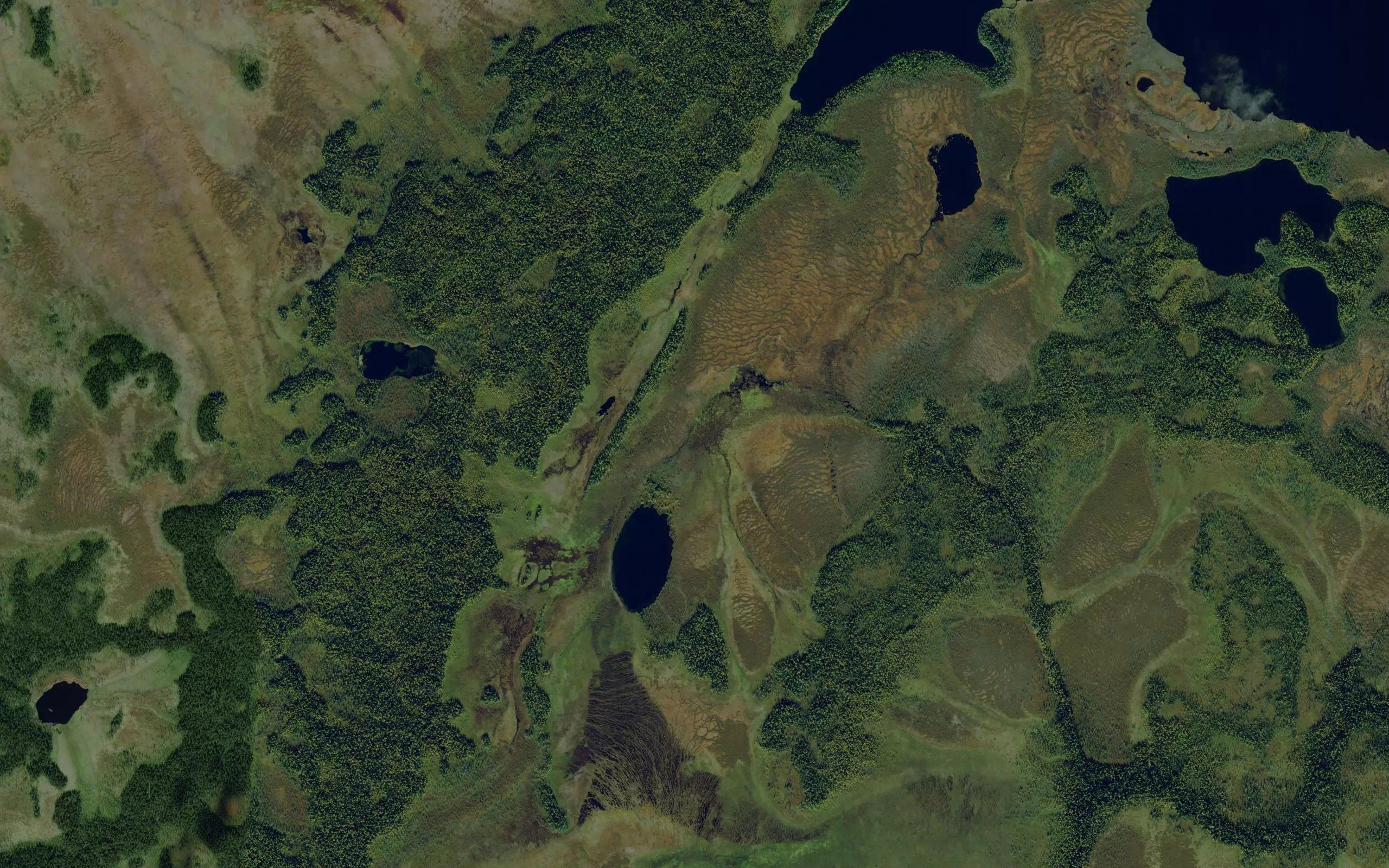 Verkhnyaya Rassokha