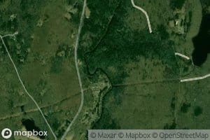 Beaverdam Brook