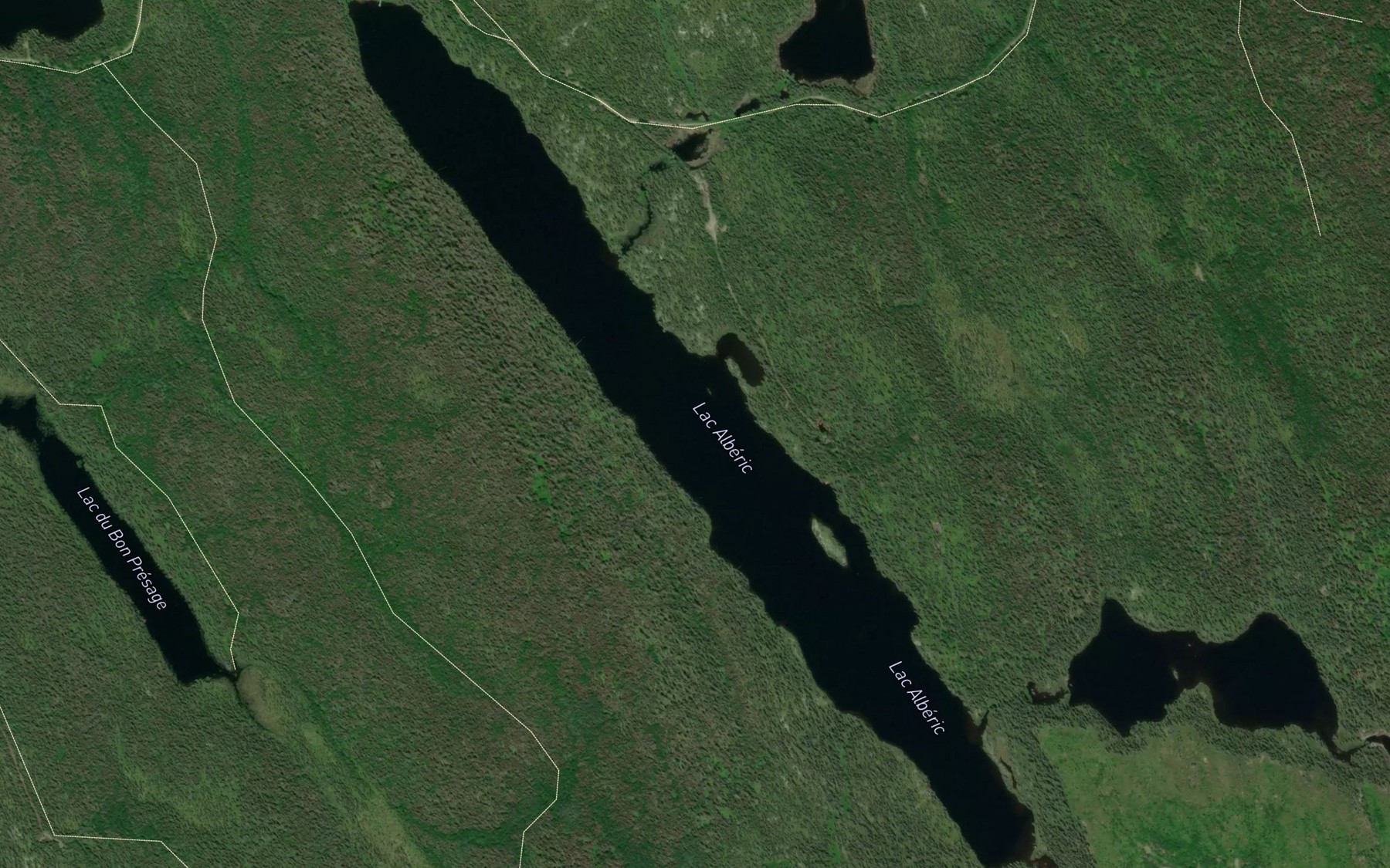 Satellite map of the Lac Alberic