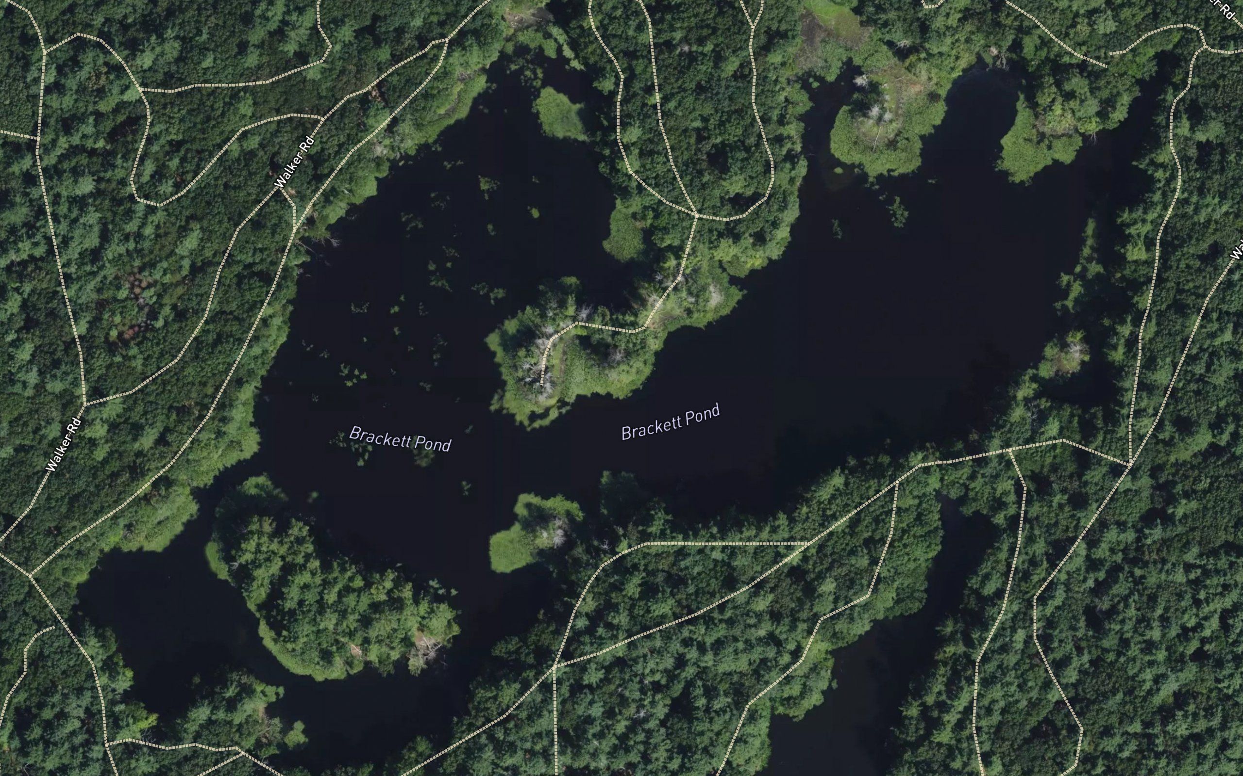 Brackett Pond