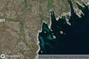 Kattuglevika