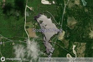 Stoddard Pond