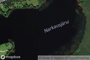 Narkausjarvi
