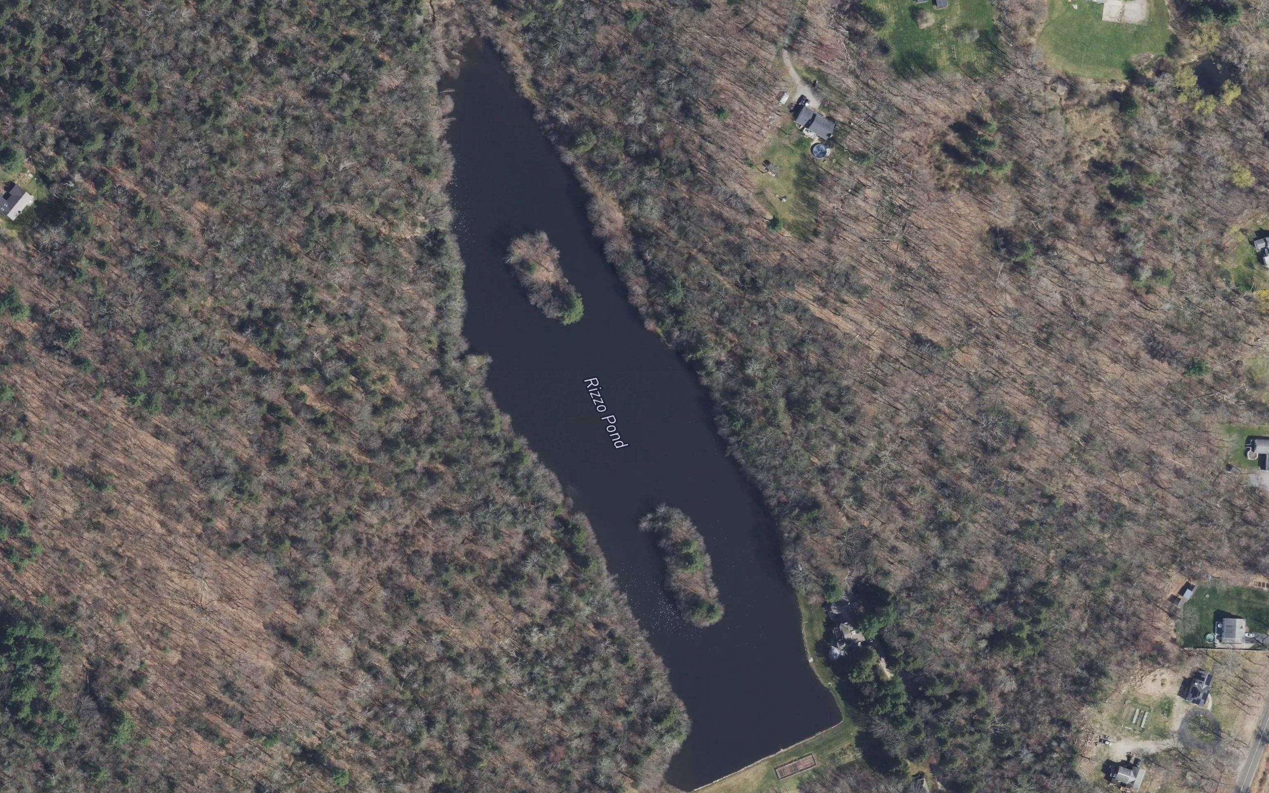 Rizzo Pond