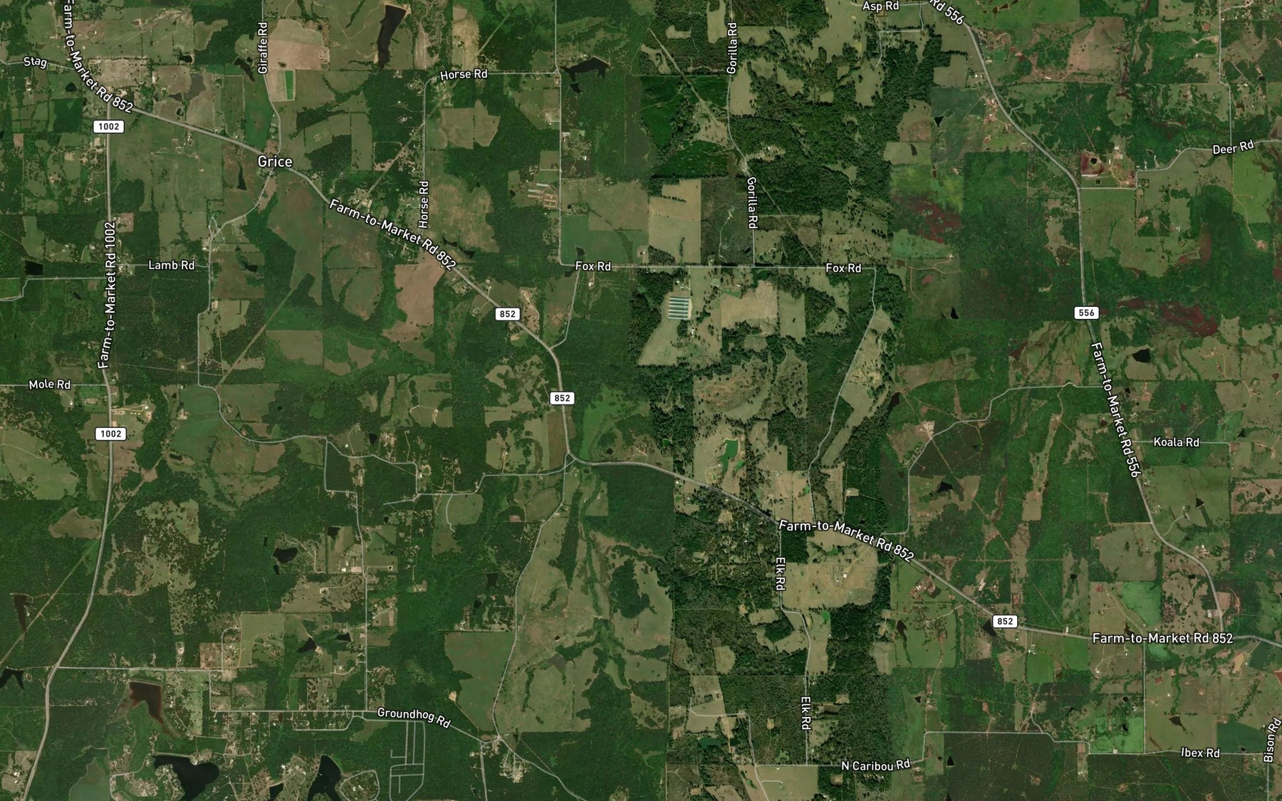 Satellite map of the Williams Branch
