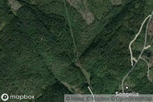 Songedalselva
