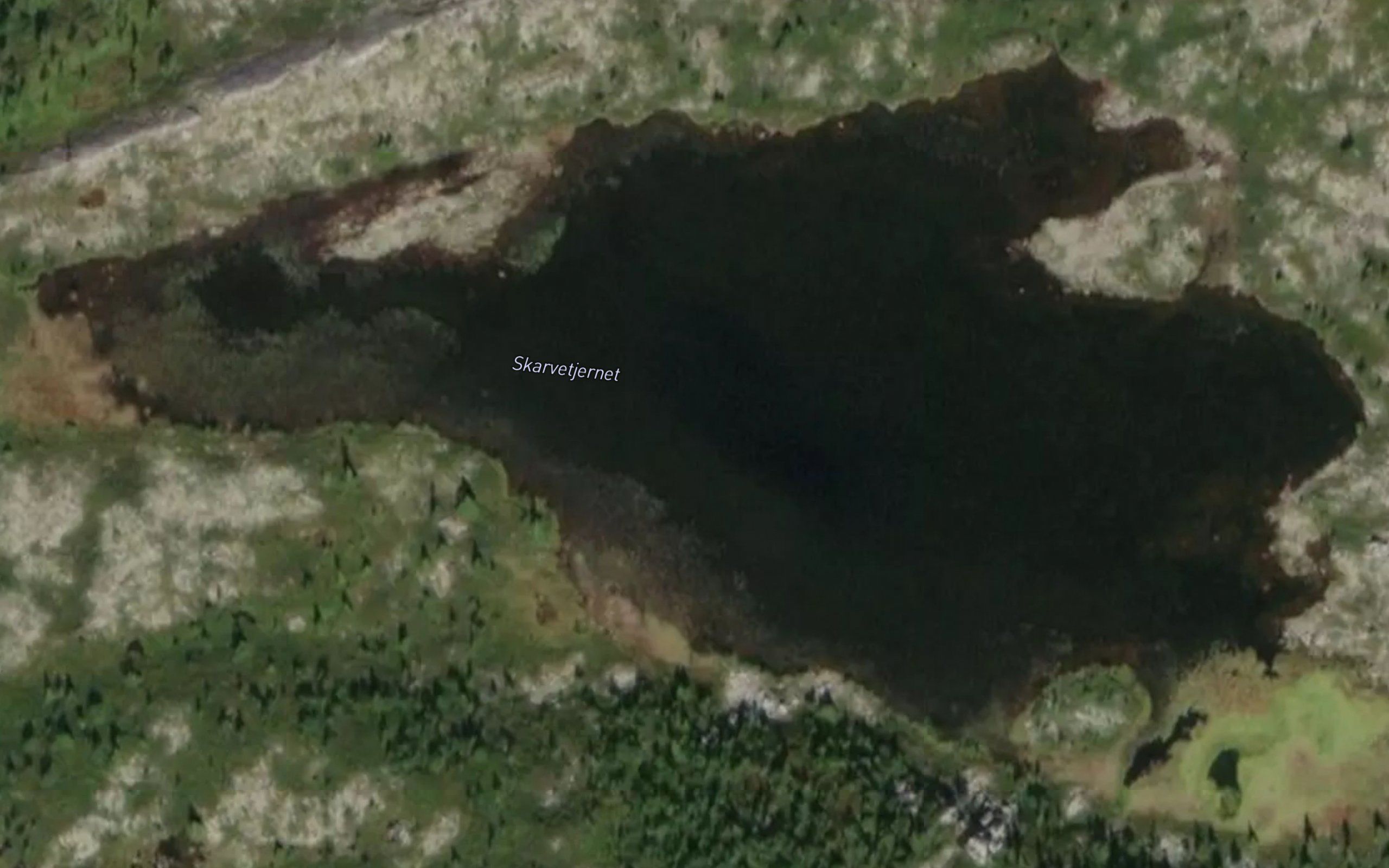 Skarvetjernet